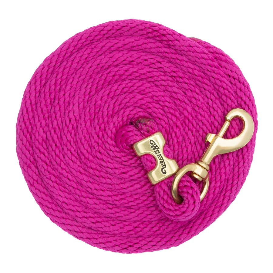 2026 WV Lead: Poly Rope, Brass Snap, 10' Raspberry