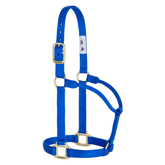 2026 WV Halter: Original Non-Adjustable, Average, Blue