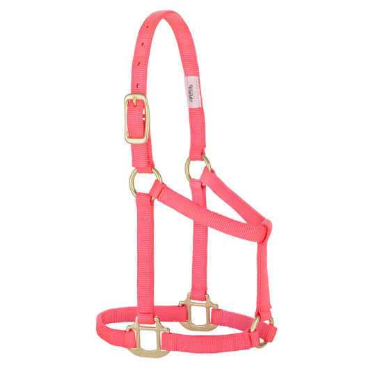 2026 WV Halter: Original Non-Adjustable, Weanling/Pony, Diva Pink
