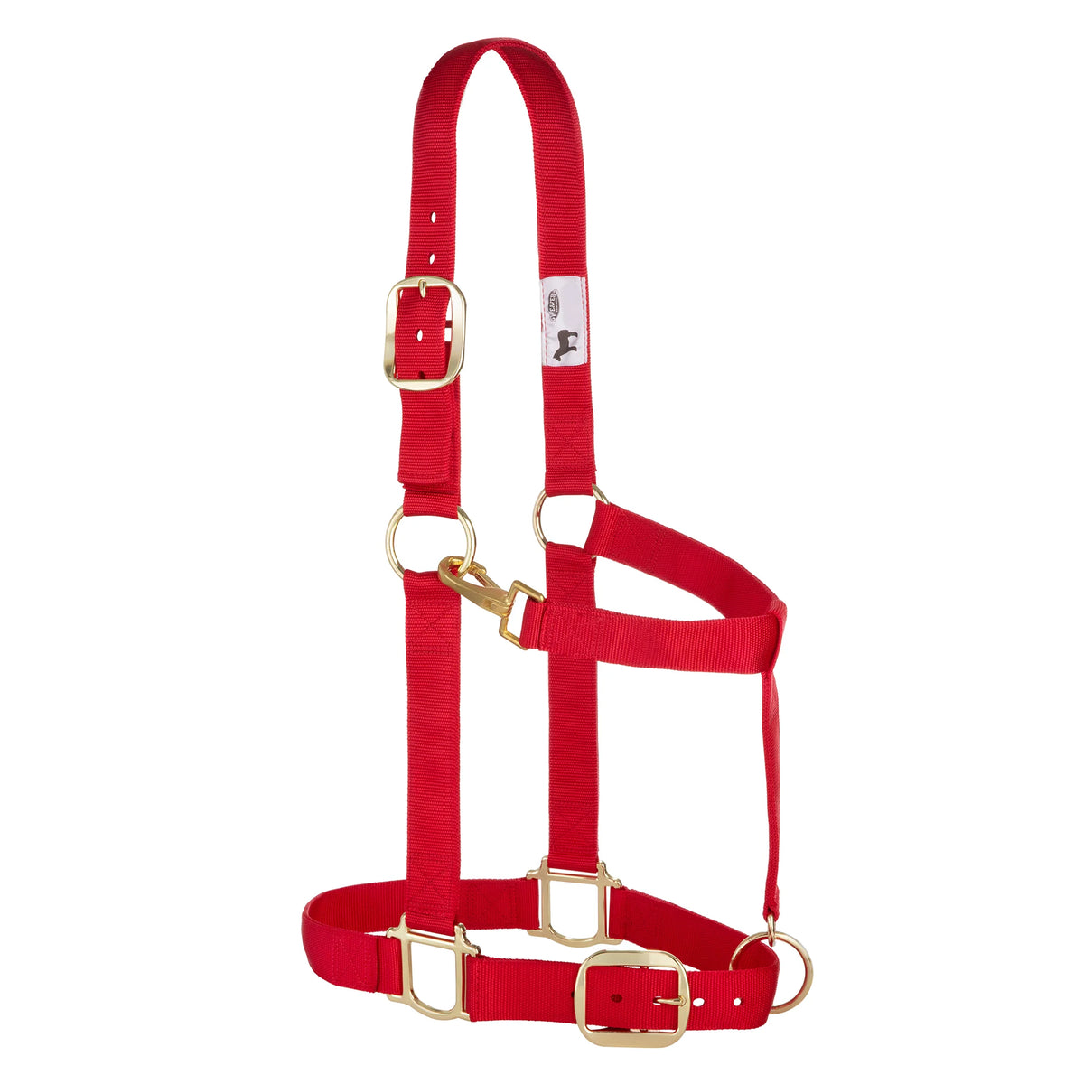 2026 WV Halter: Original Adjustable, Draft, Average, Red