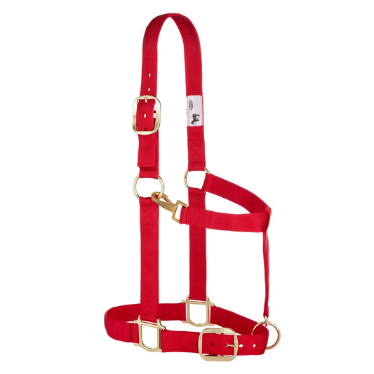 2026 WV Halter: Original Adjustable, Draft, Average, Red