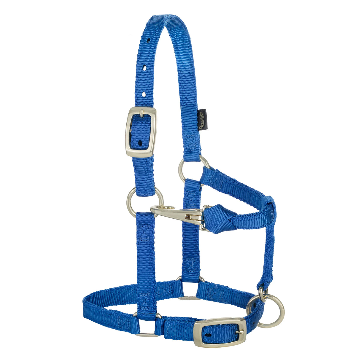 2026 WV Halter: Original, Adjustable, Large Mini, Blue