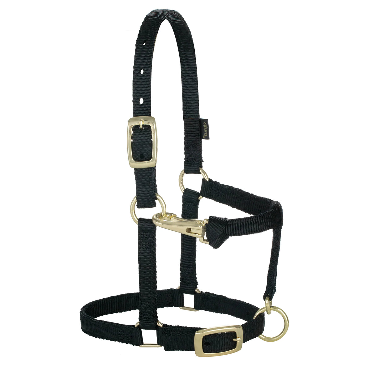 2026 WV Halter: Original Adjustable, Mini, Black
