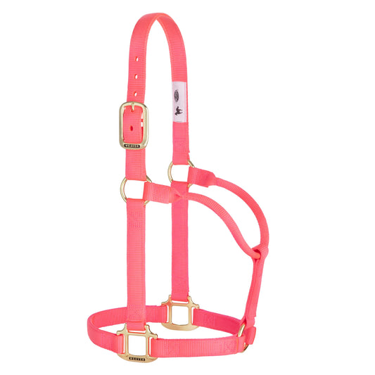 2026 WV Halter: Original Non-Adjustable, Small, Diva Pink