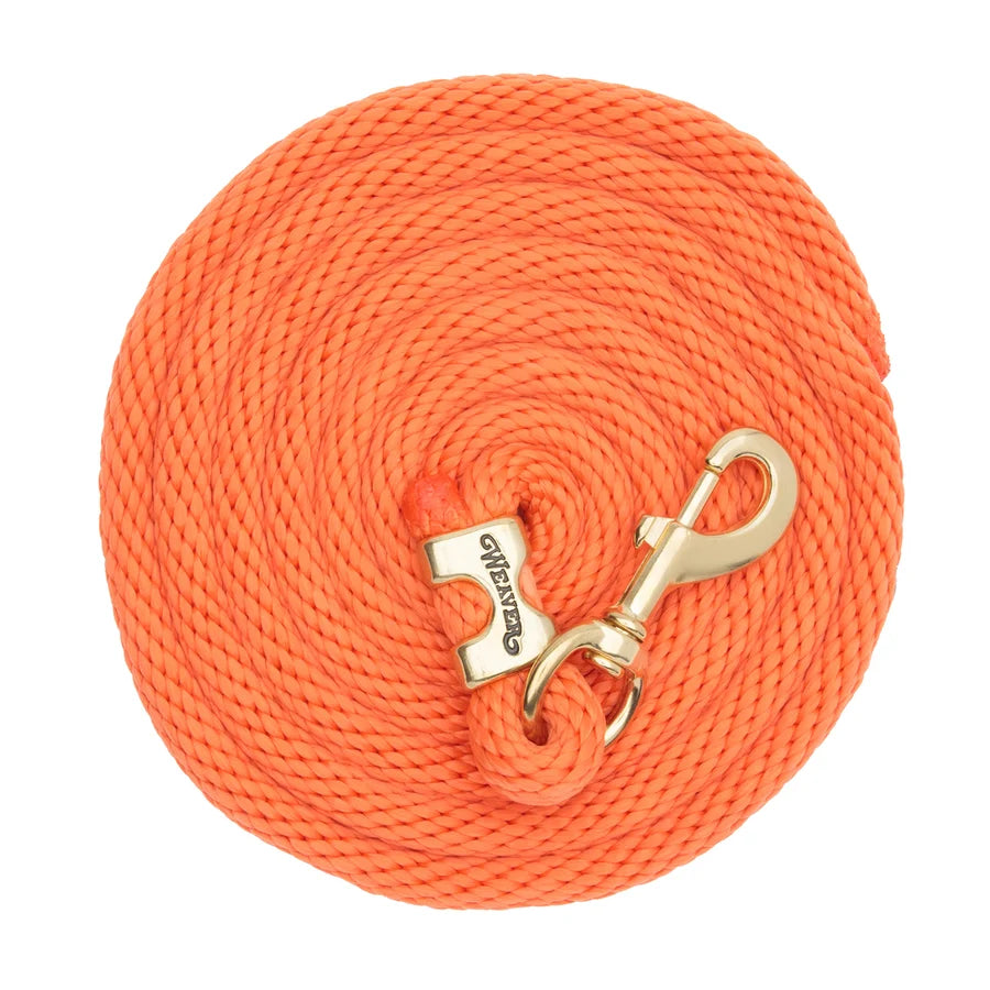 2026 WV Lead: Poly Rope, Brass Snap, 10' Orange