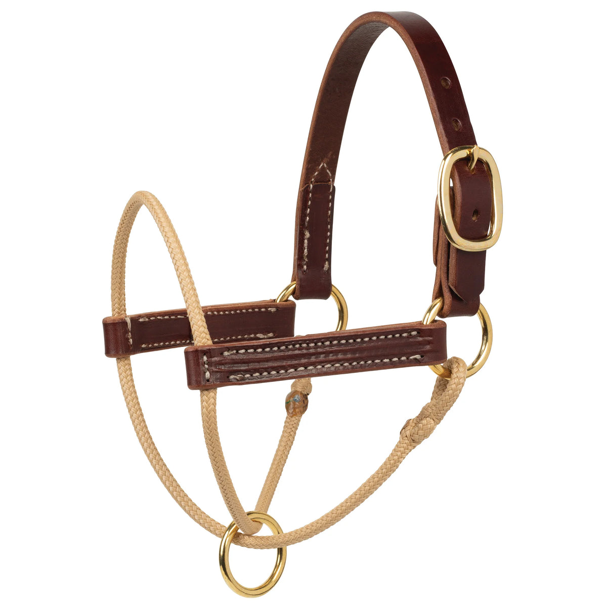 2026 WV Halter: Kalley Krickeberg Foal Horseman, Brown