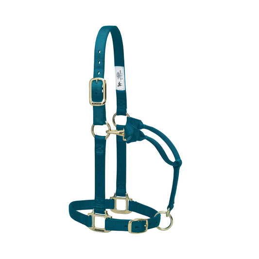 2026 WV Halter: Original Adjustable, Weanling/Pony, Teal