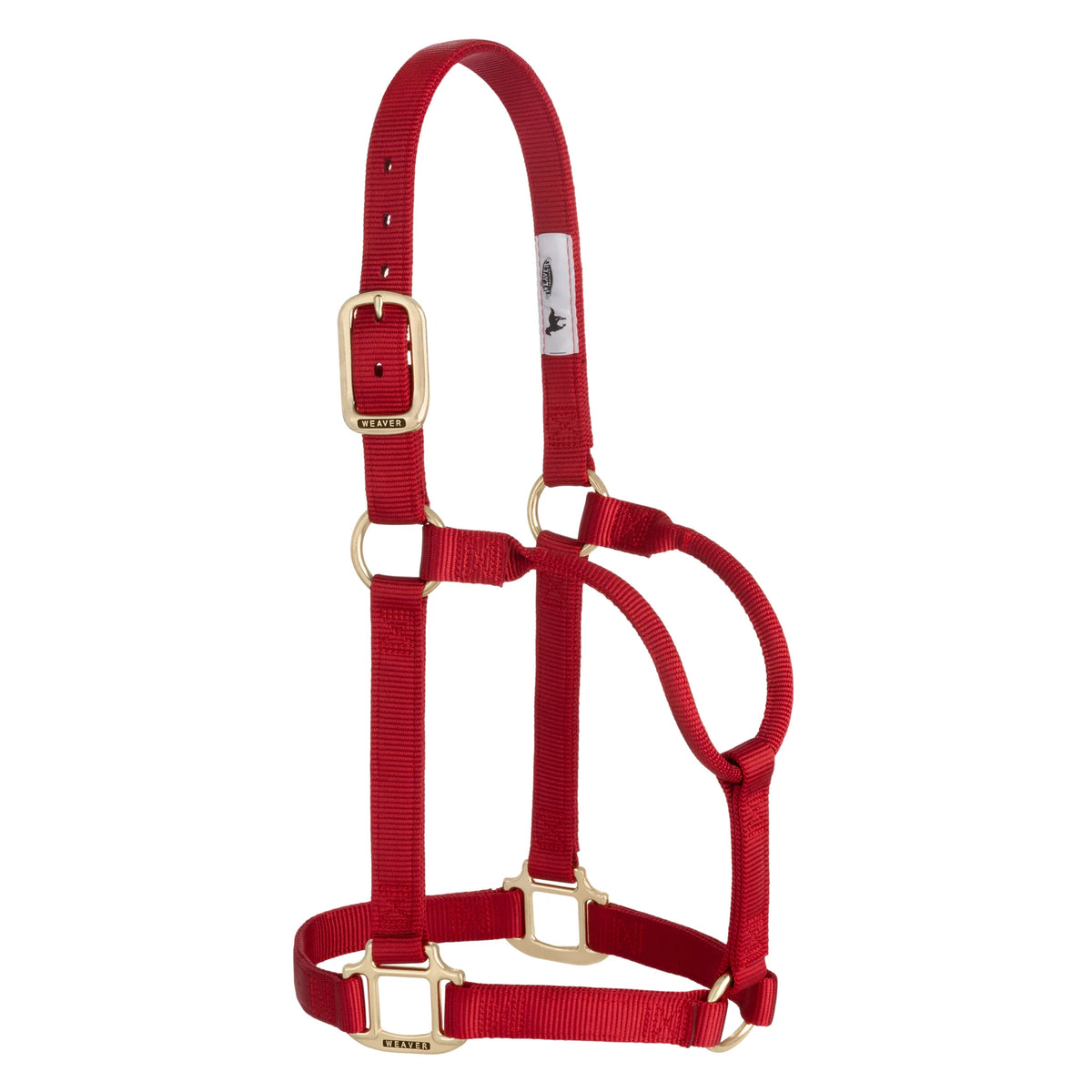 2026 WV Halter: Original Non-Adjustable, Average, Red