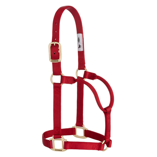 2026 WV Halter: Original Non-Adjustable, Average, Red