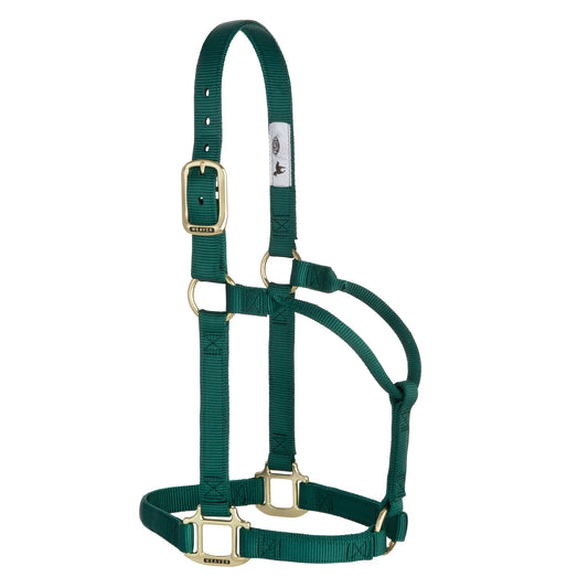 2026 WV Halter: Original Non-Adjustable, Average, Hunter Green