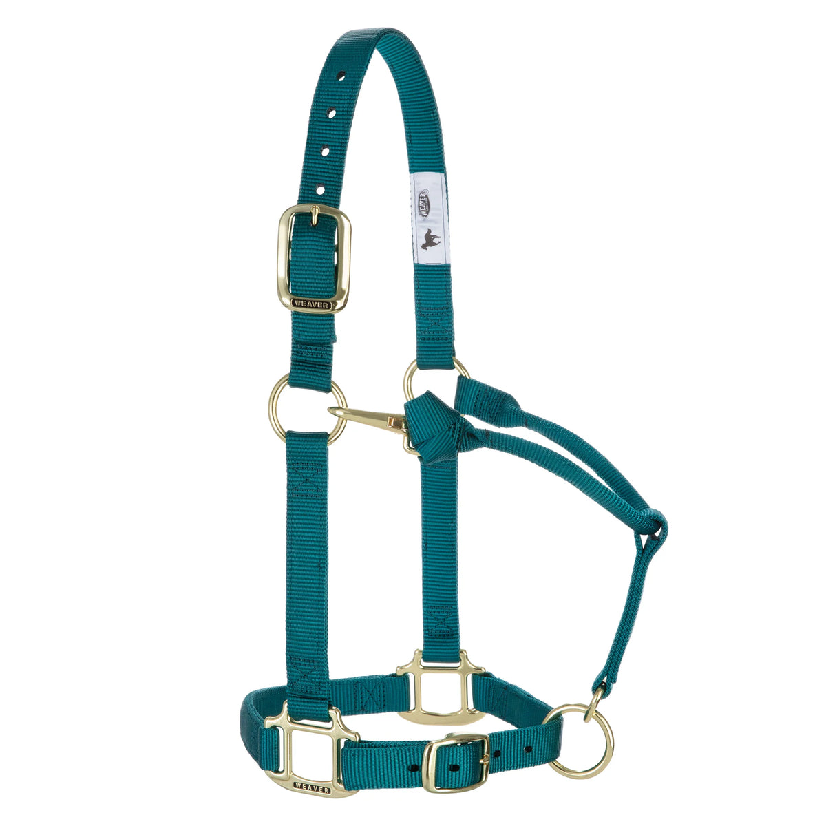 2026 WV Halter: Original Adjustable, Small, Teal