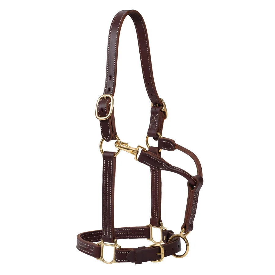2026 WV Halter: 1" Adjustable Leather, Canyon Rose, Large Horse